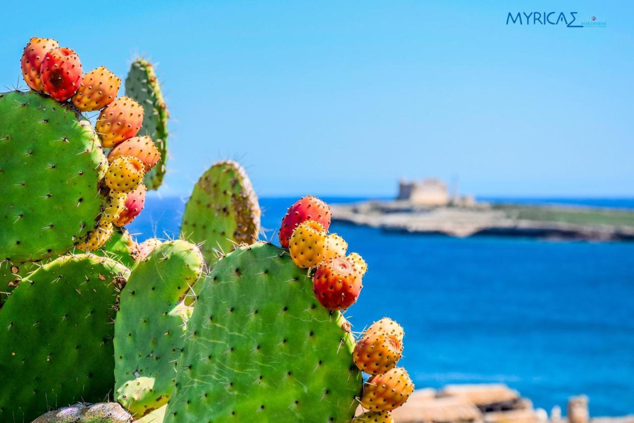 Myricae Marzamemi Ospitalita Siciliana Apartment Luaran gambar